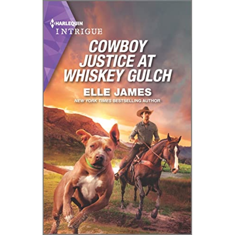 Cowboy Justice at Whiskey Gulch