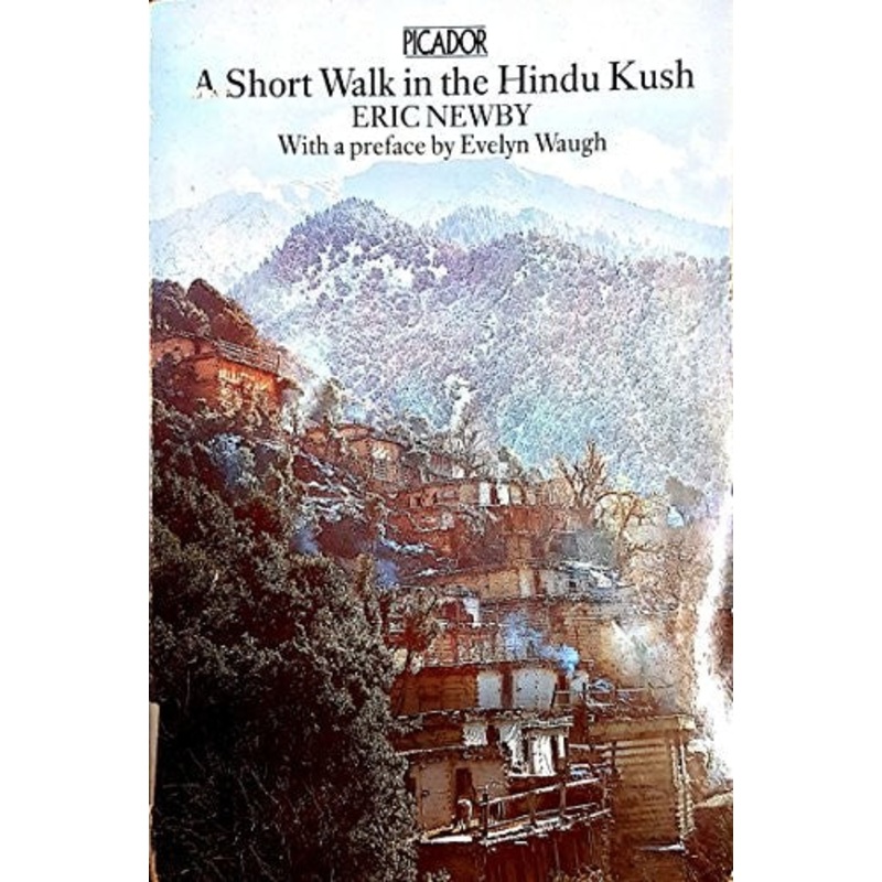 A Short Walk in the Hindu Kush