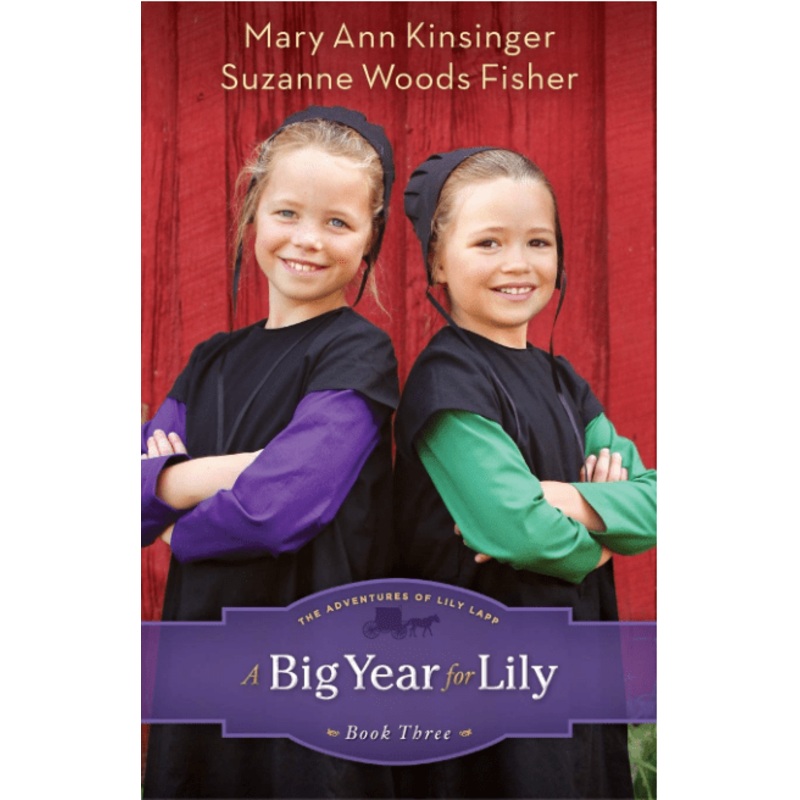 A Big Year for Lily: The Adventures of Lily Lapp (Book 3)