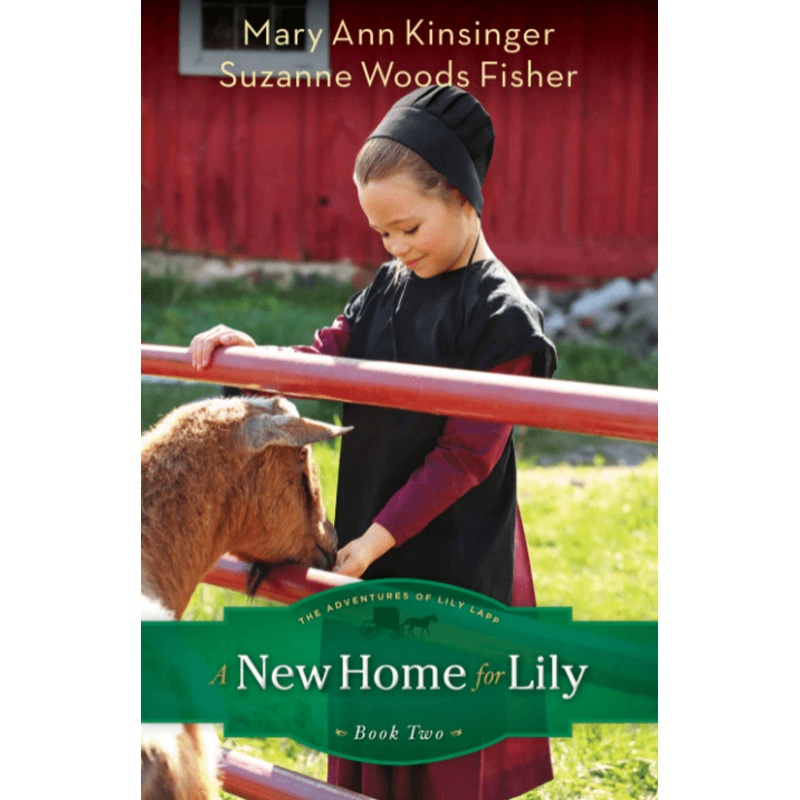 A New Home for Lily: The Adventures of Lily Lapp (Book 2)
