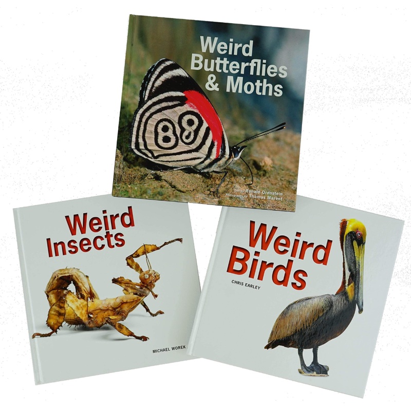 Weird Birds, Insects, and Butterflies & Moths – 3 Book Set (Weird Birds, Weird Insects, and Weird Butterflies and Moths)