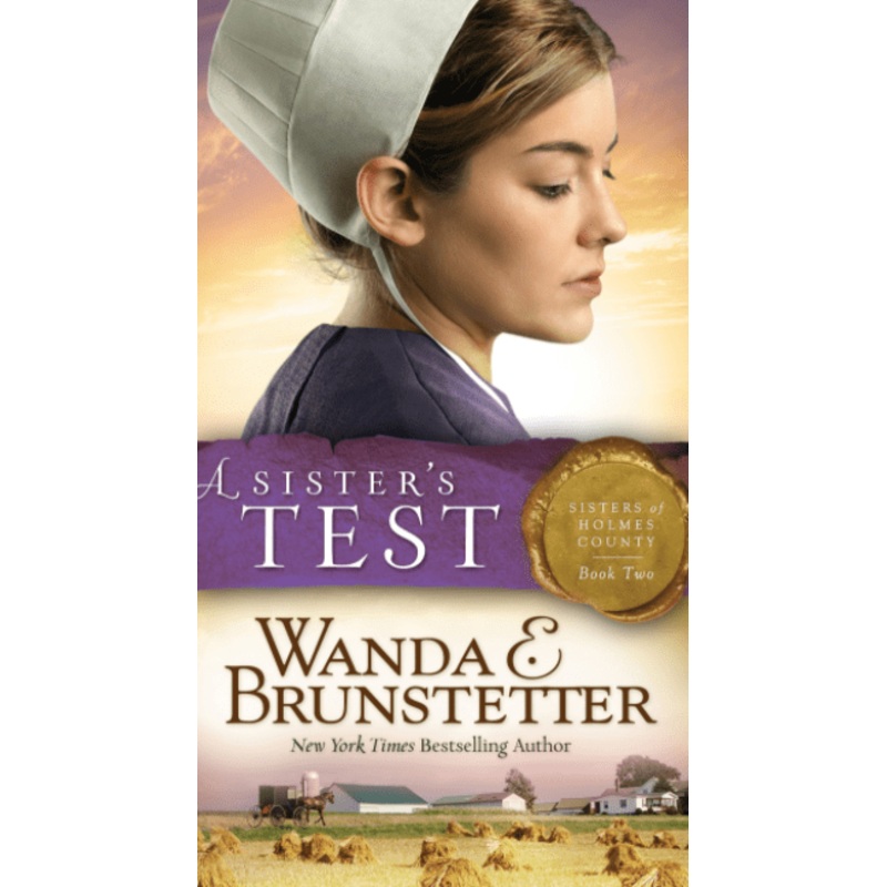 A Sister’s Test: Sisters of Holmes County Series (Book 2)