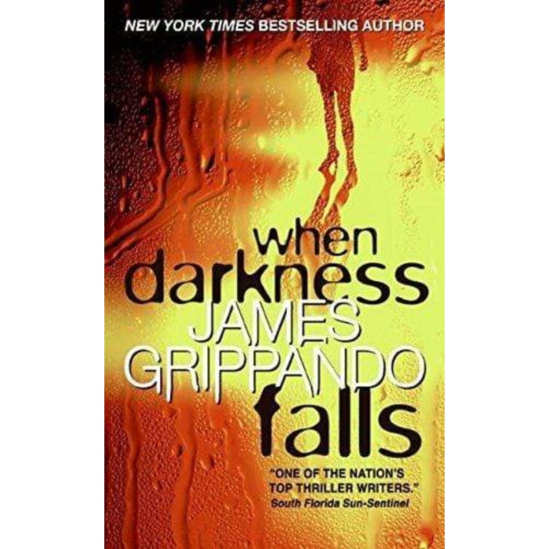 When Darkness Falls (Jack Swyteck Novel)