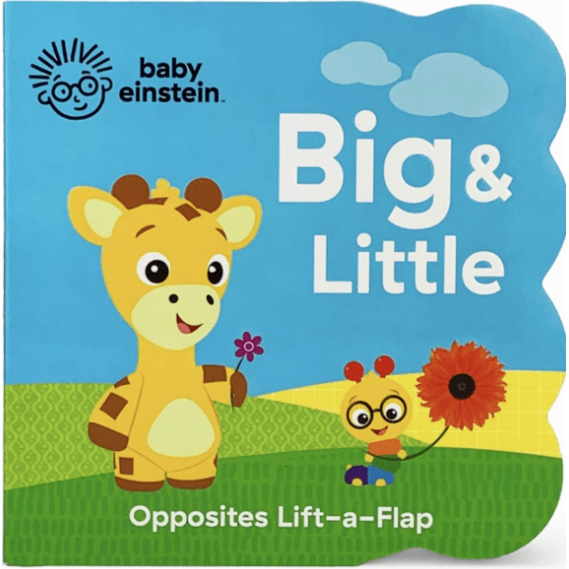 Baby Einstein: Big and Little