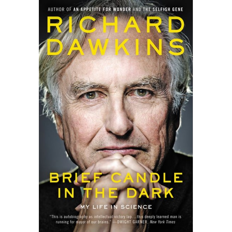 Brief Candle in the Dark