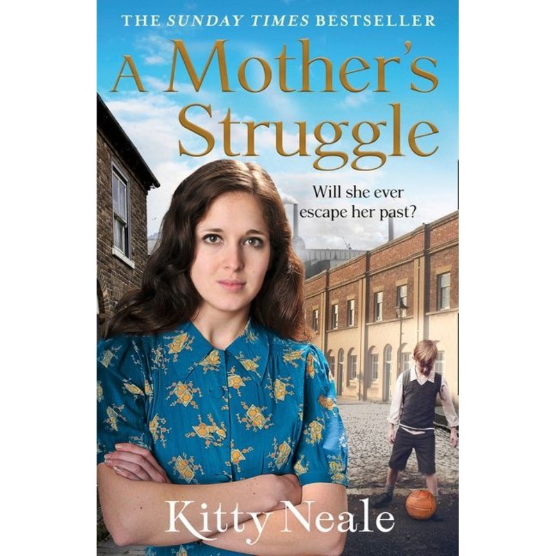 A Mothers Struggle