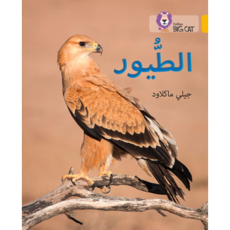 Birds [Arabic]