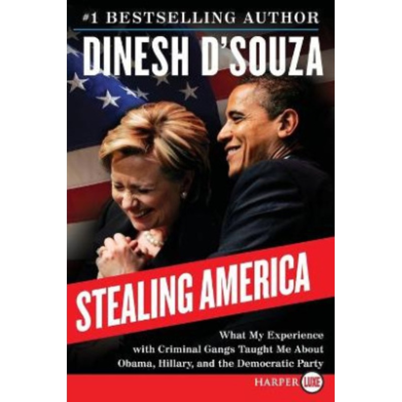 Stealing America [Large Print]