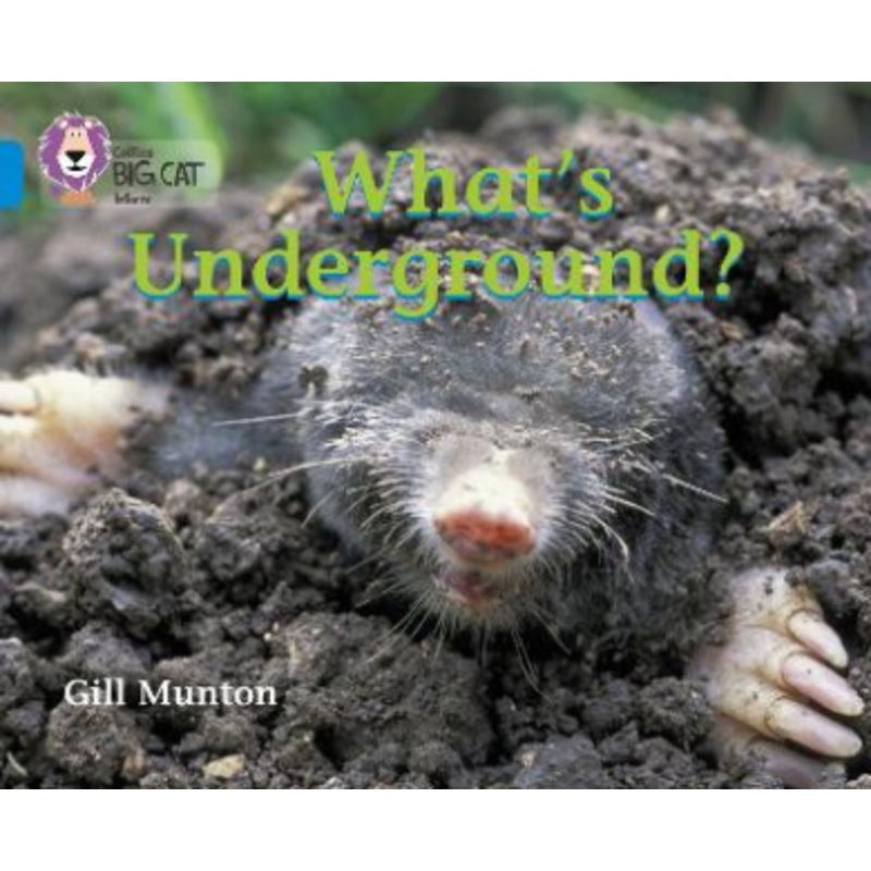 What’s Underground