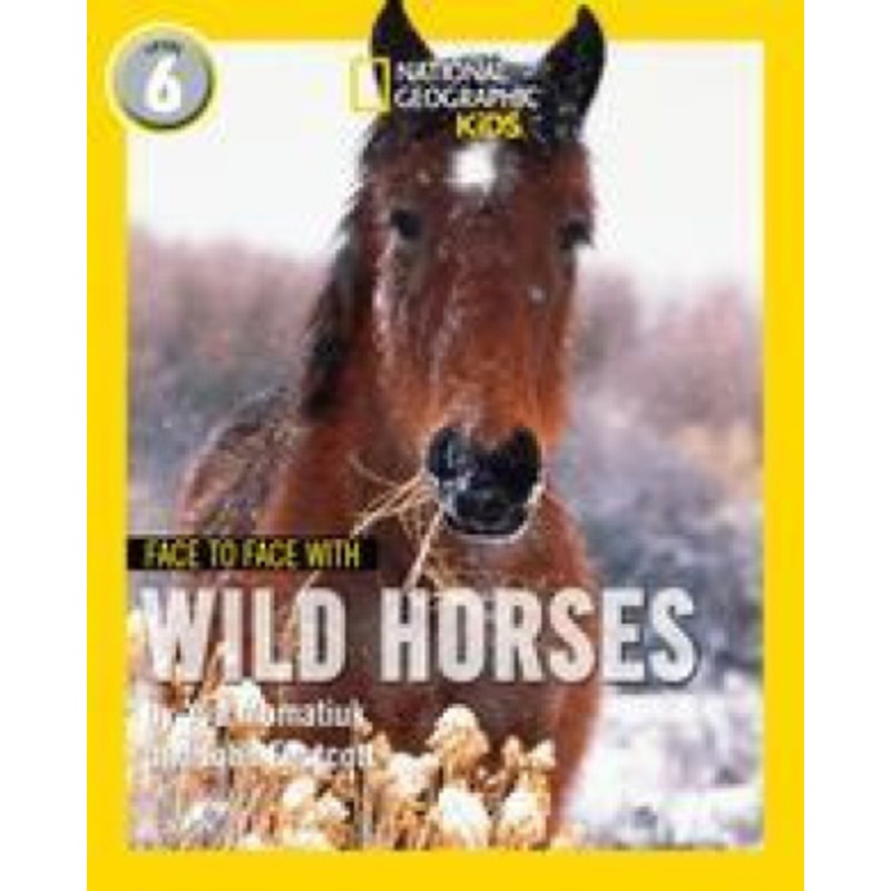 Face to Face with Wild Horses
