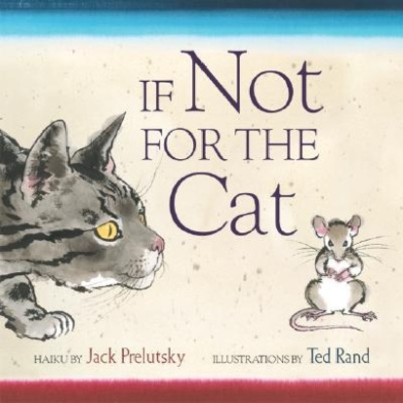 If Not For The Cat