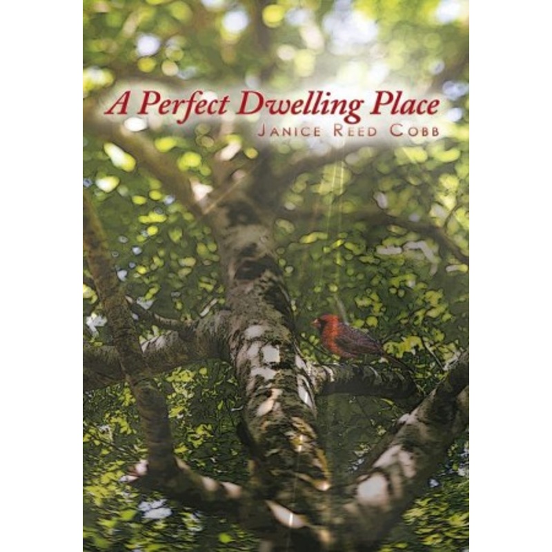 A Perfect Dwelling Place – eBook