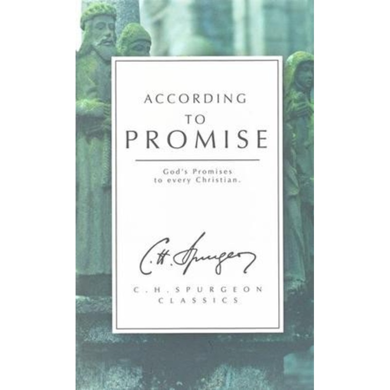 According to Promise: God’s Promises to Every Christian