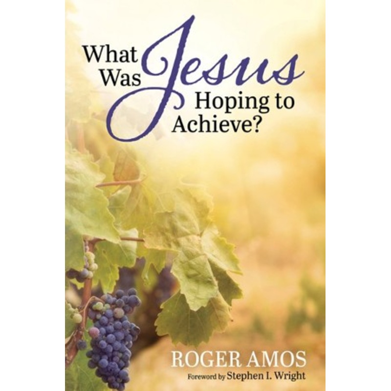 What Was Jesus Hoping to Achieve?
