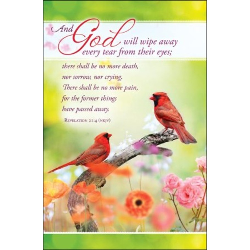 Wipe Away Every Tear (Revelation 21:4, NKJV) Bulletins, 100