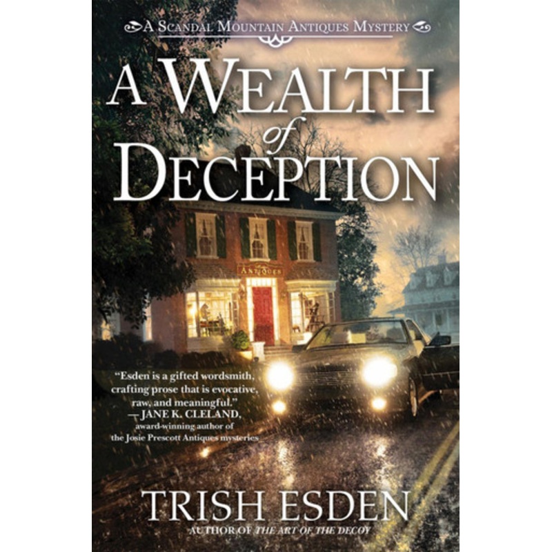 A Wealth Of Deception Trish Esden 9781639102549