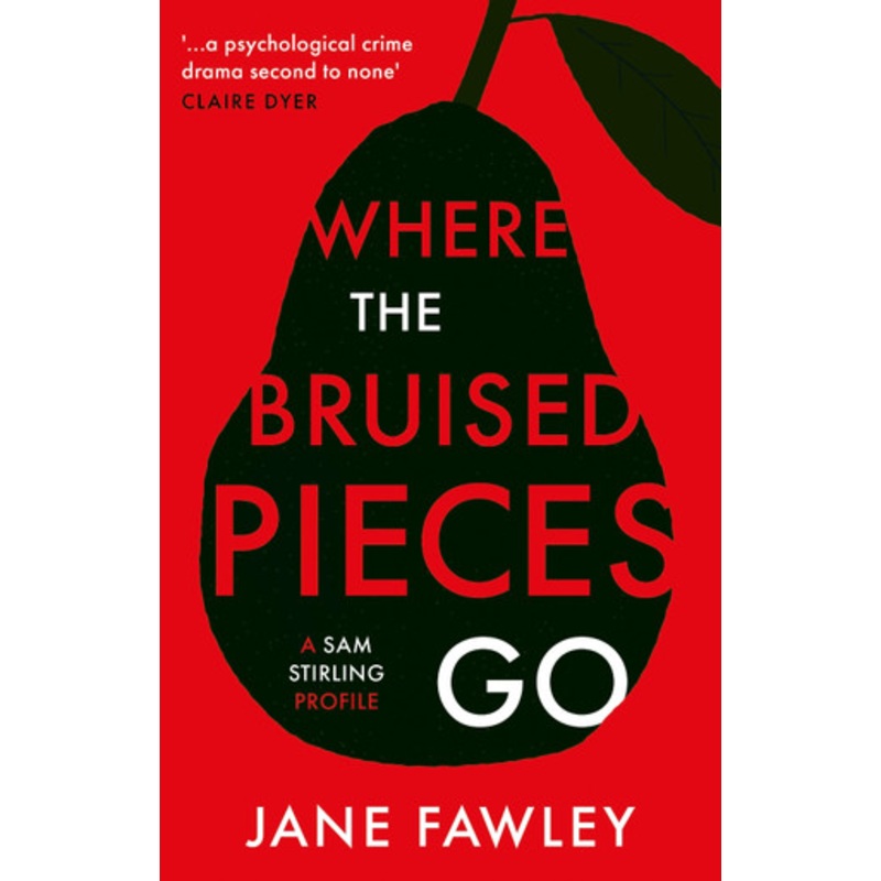 Where the Bruised Pieces Go: A Sam Stirling profile by Jane Fawley 9781805141730