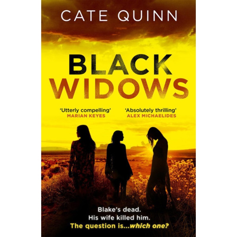Black Widows: The ‘Utterly Compelling’ (Marian Keyes) Thriller You Need To Read by Cate Quinn 9781409196976