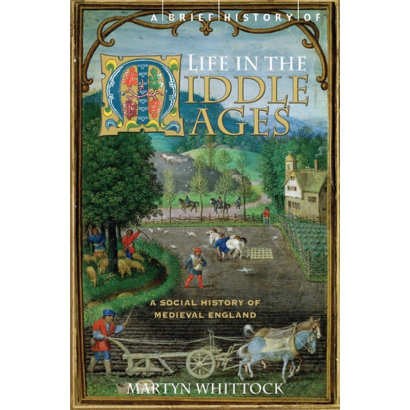 A Brief History of Life in the Middle Ages by Martyn Whittock